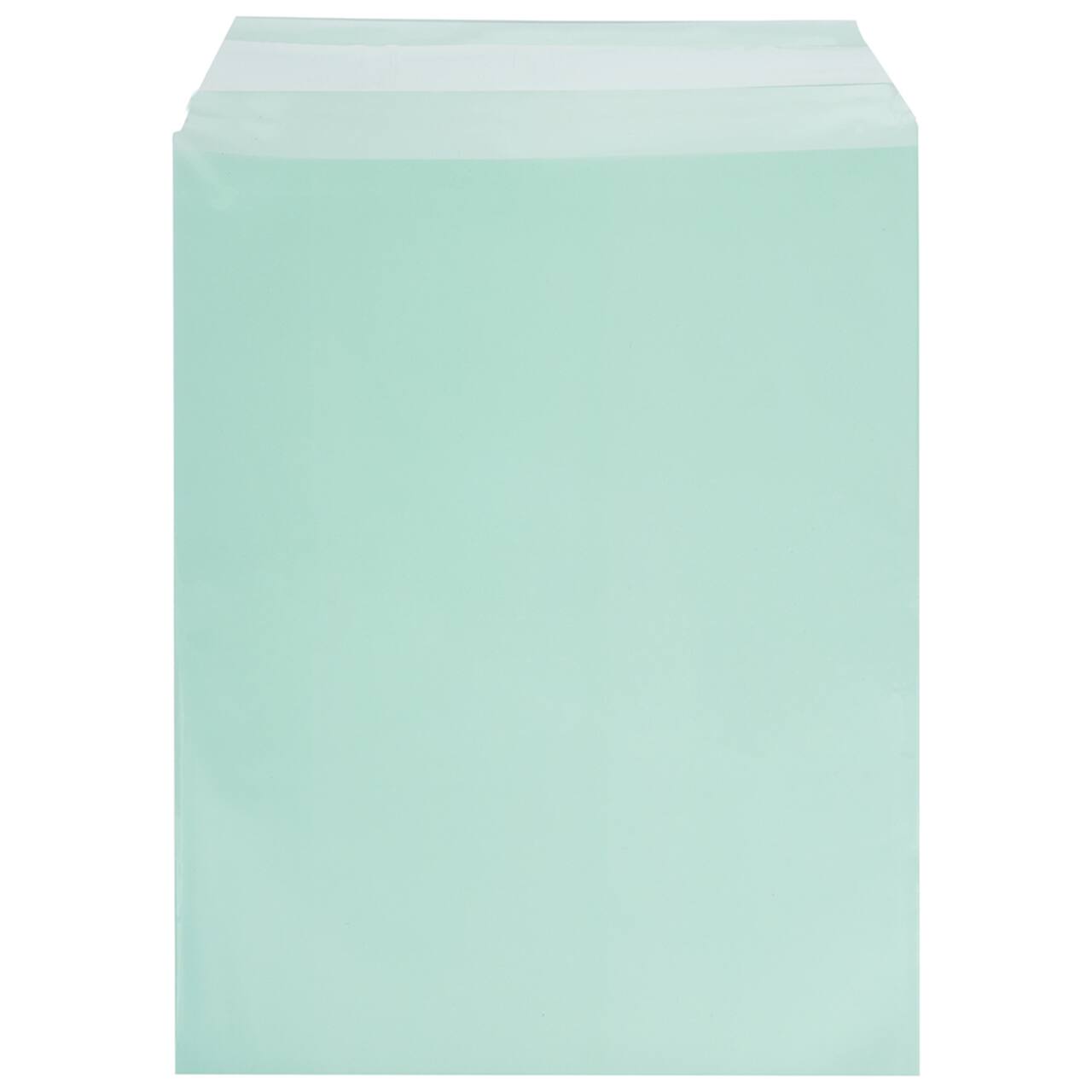 JAM Paper 8.93" x 11.25" Self Adhesive Closure Cello Sleeves, 100ct.